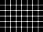john_david_sottile_black_dot_illusion.jpg