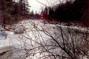 125mhp_breaverbrook_x200dpi_x560p_sl.jpg