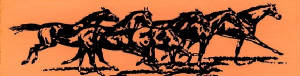 125mhp_john_david_sottile_equine_equity_x200_cropped_x560x140_colored.jpg