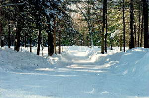 125mhp_winterdriveway_x200dpi_x560p_sl.jpg
