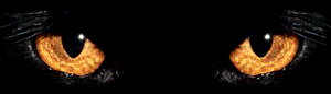 125mhp_cateyes1.gif