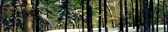 125mhp_deckbanner110_x200_scaled_x560.jpg