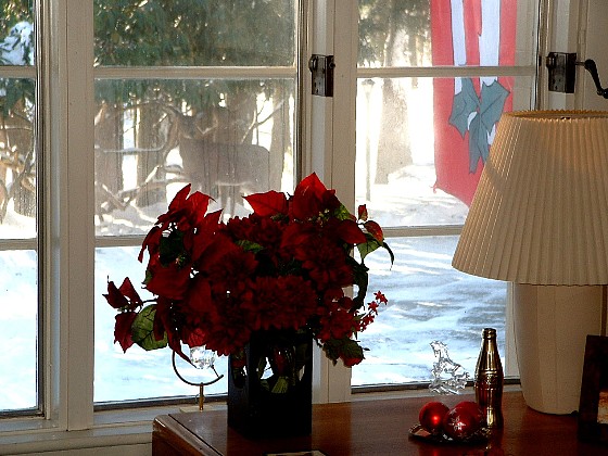 125mhp_deervisitingoffice_x560.jpg