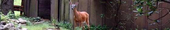 125mhp_friendlybarndoebanner_x560.jpg