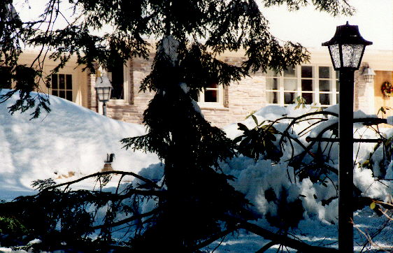 125mhp_house_upperdriveway_x200_scaled_x560.jpg