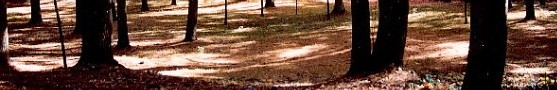 125mhp_knollbanner_knollfrontofhouse_x200dpi_x560_sl.jpg